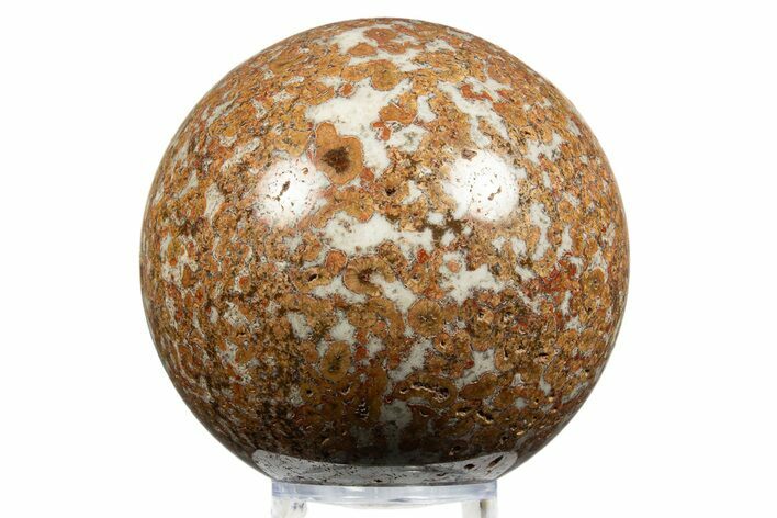 Polished Red Flower Marble Sphere - India #311731